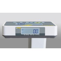 Kern MPE 250K100PM geeichte Personenwaage mit BMI-Funktion