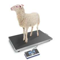 KERN EOS 150K50XL Tierwaage