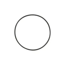 HEINE O-ring für DELTA 30