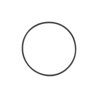 HEINE O-ring für DELTA 30