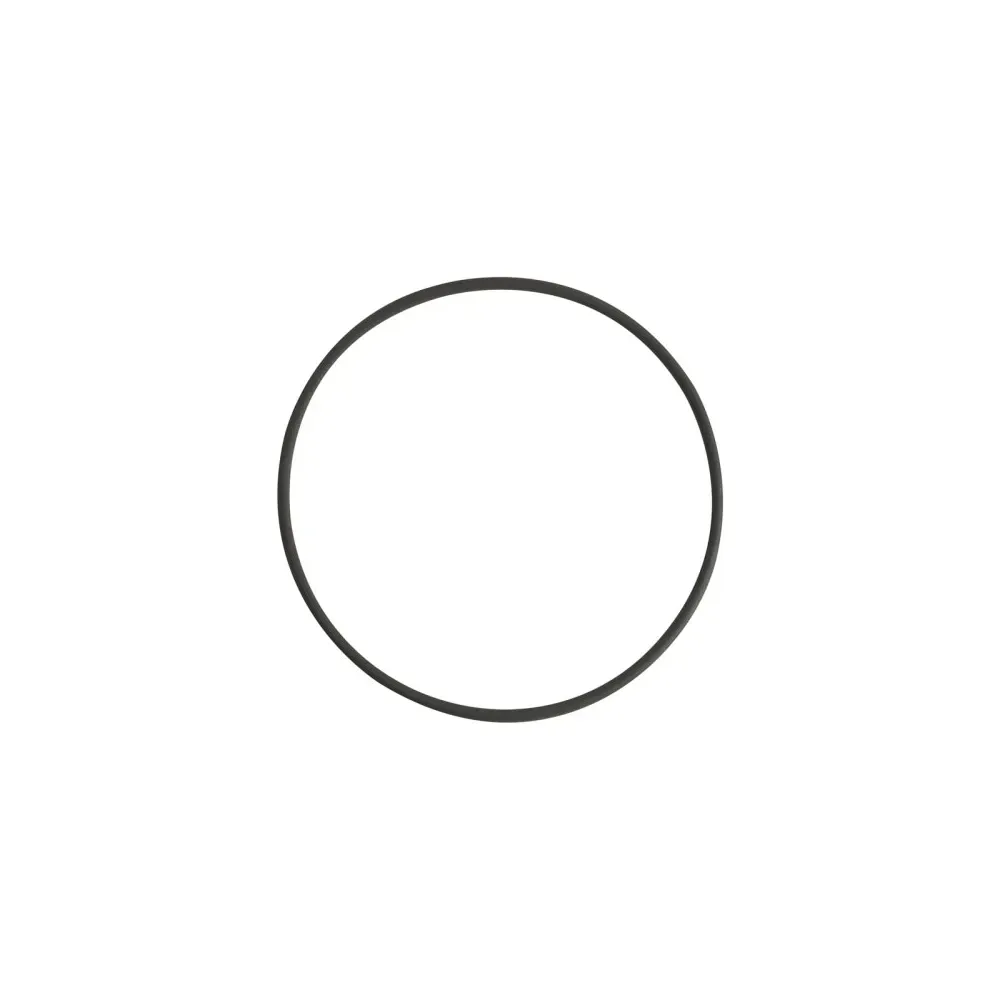 HEINE O-ring für DELTA 30